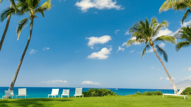 护膝推荐乒乓球台